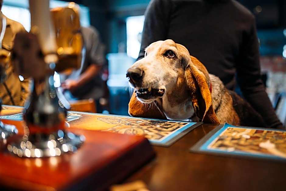 The Rose & Crown, Ashbury