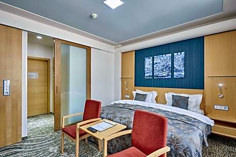 Standard Double Room with Wellness access