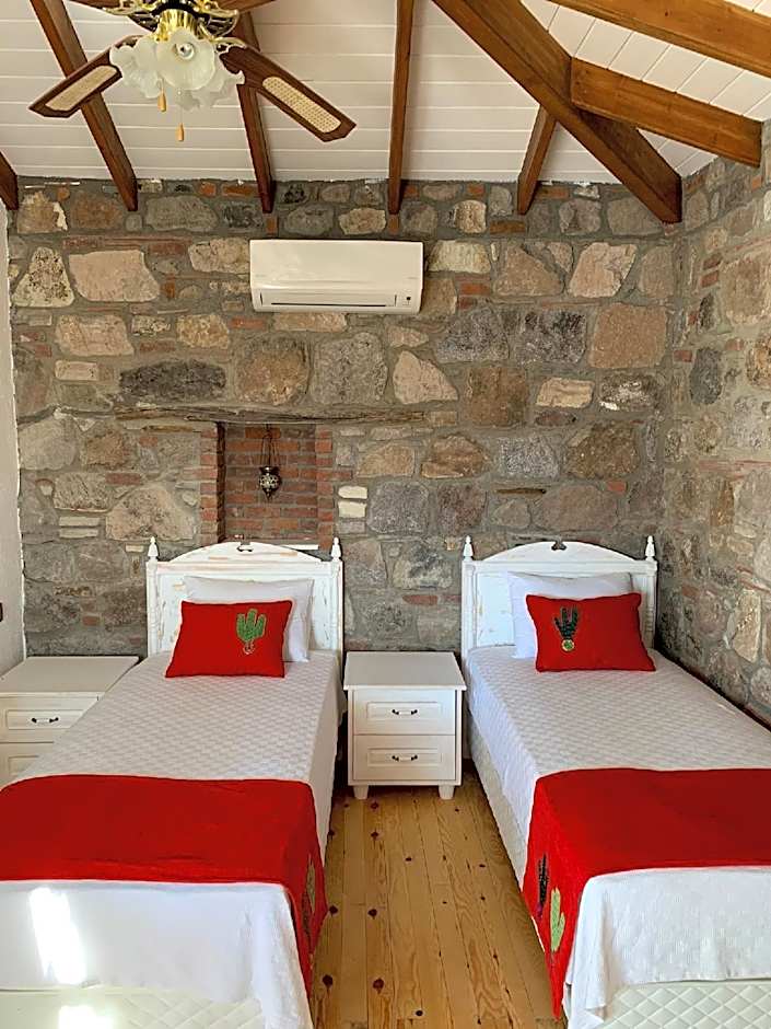 Photo 1 of 4 of Adahan Pansiyon Kaktüs Room
