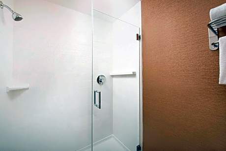 Suite, 1 Bedroom (1 King Bed and 1 Double Sofa Bed)