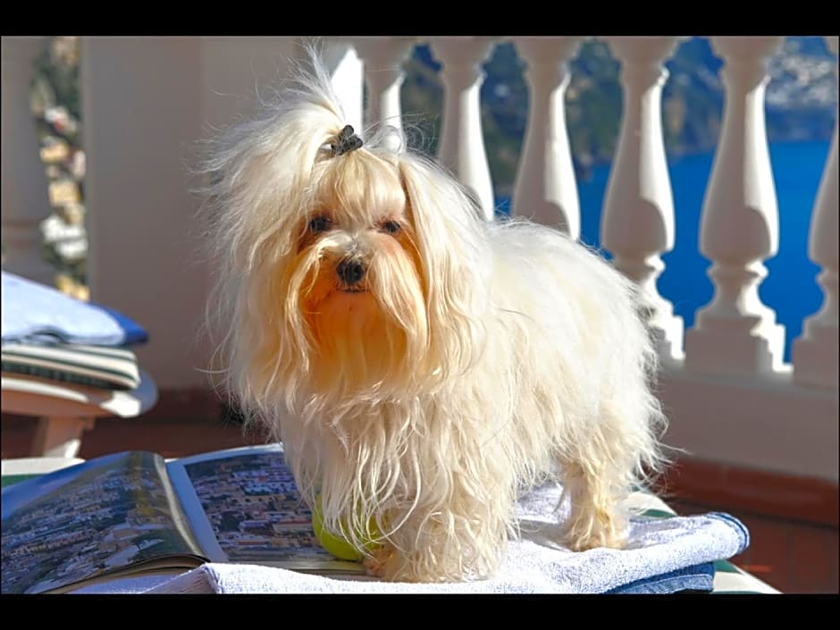 Villa Briganti Seaview Terrace