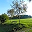 Waldgasthof & Hotel Am Sauwald