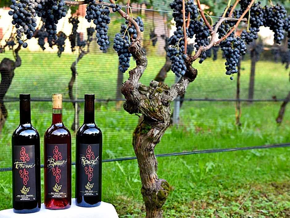 Bed and Breakfast da Käthy Agriturismo