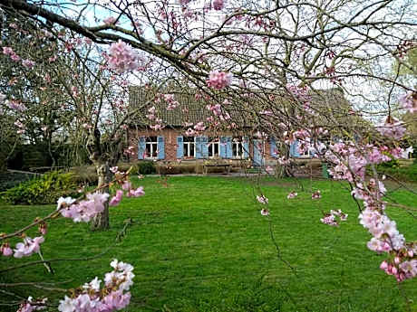 Saffels Nest 33