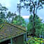 The Tall Trees Munnar