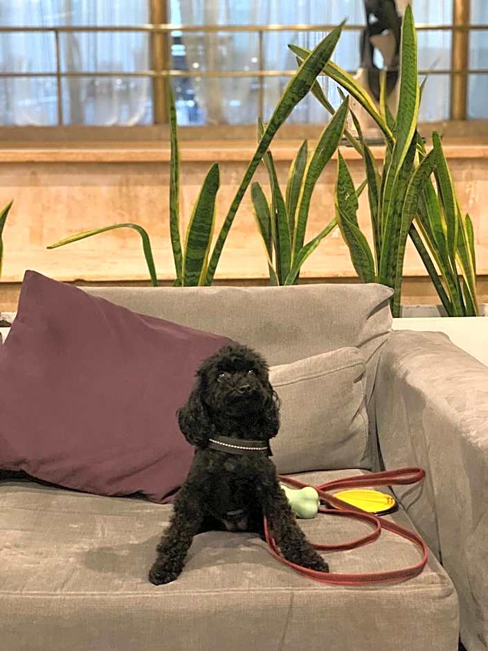 Regente Palace Hotel