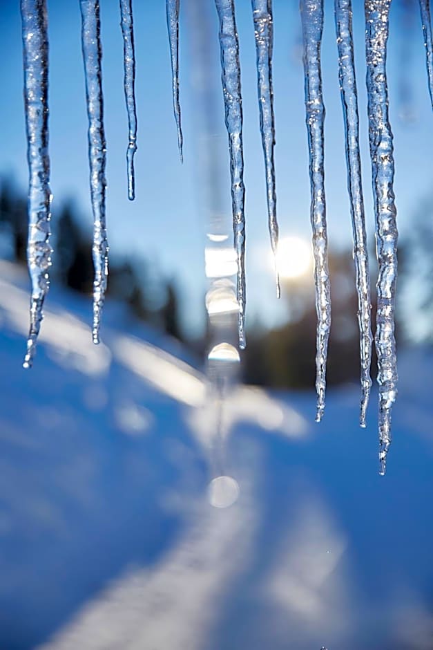 Alpine Spa Hotel Haus Hirt