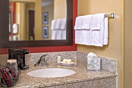 Suite, 1 Bedroom (1 King Bed and 1 Double Sofa Bed)