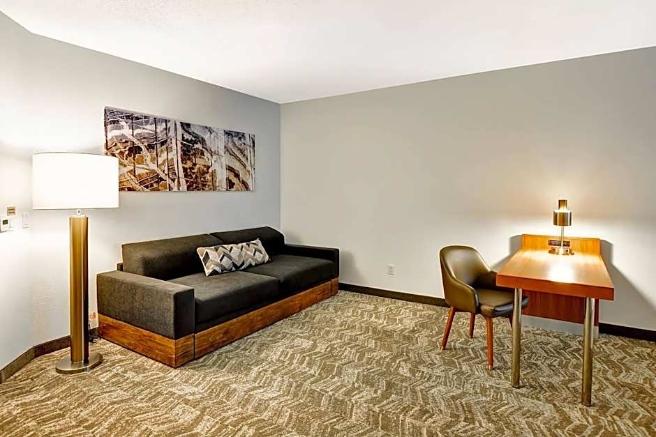 SpringHill Suites By Marriott Columbia Fort Meade Area