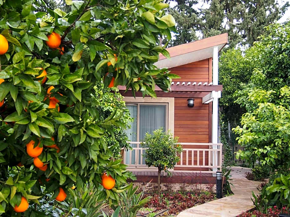 Kimera Lounge Boutique Hotel & Spa