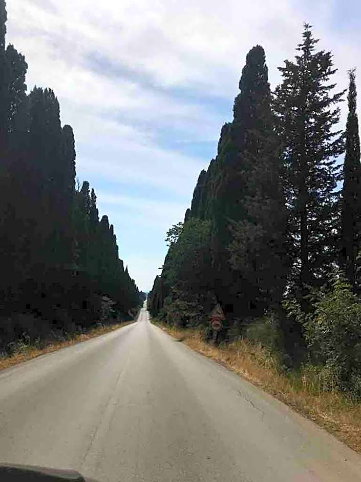 On Holiday Between Sky And Sea geco Di Campiglia pet friendly big garden