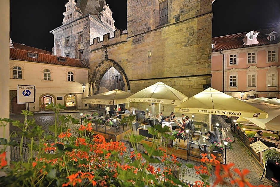 Hotel U 3 Pstrosu
