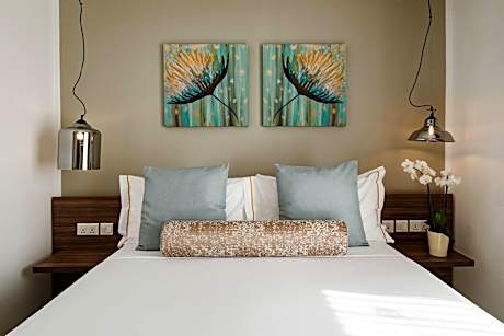 Superior Double or Twin Room (1 King Bed)