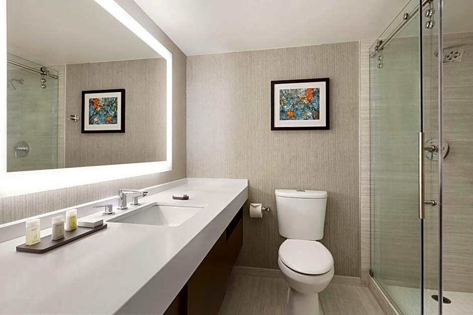 Embassy Suites By Hilton Hotel Chicago-Lombard/Oak Brook