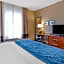 Comfort Inn & Suites Lynchburg Airport - University Area