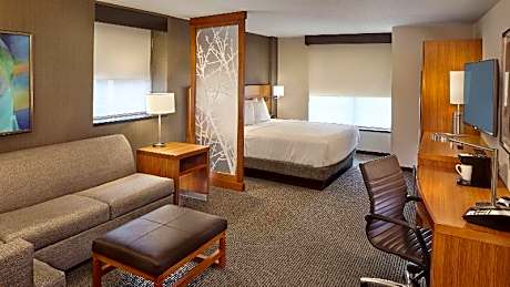 King Bed One Bedroom Suite (plus sofa bed)