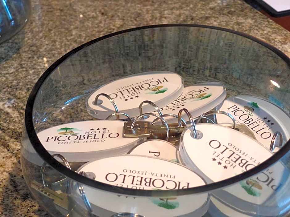 Hotel Picobello Pineta