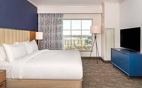 1 King 1 Bedroom Exec Level Suite