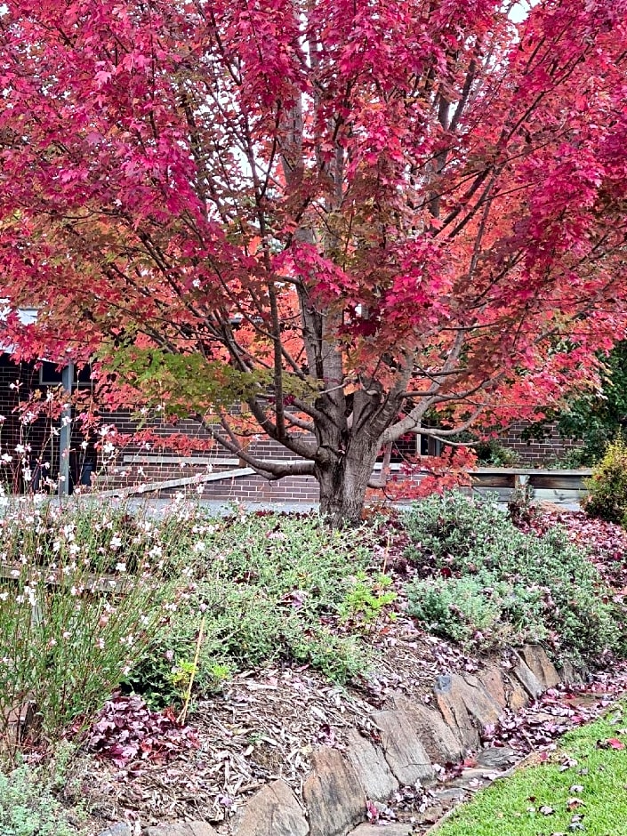 Moore Park Apartments