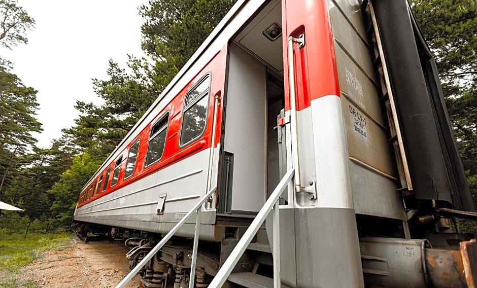 Palanga Camping Hostel