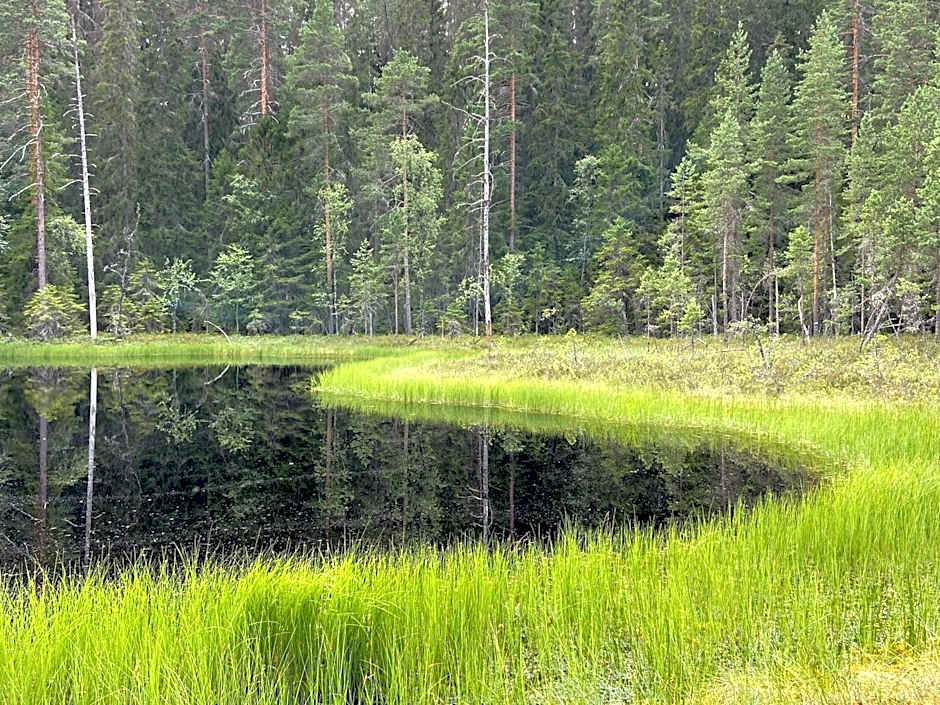 Handlarens villa - Vandrarhem de luxe
