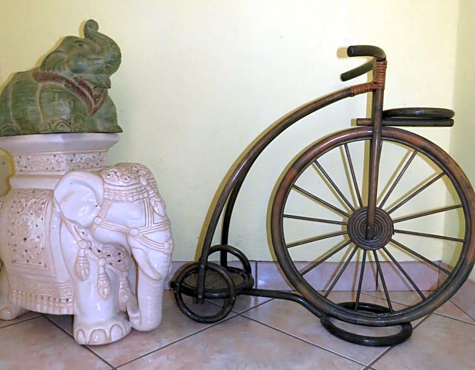 L'Elefantino - Bed and Book