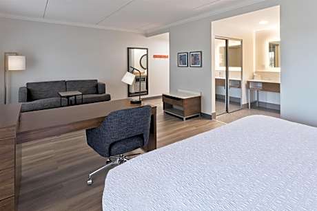 King Studio Suite with Fireplace - Non-Smoking