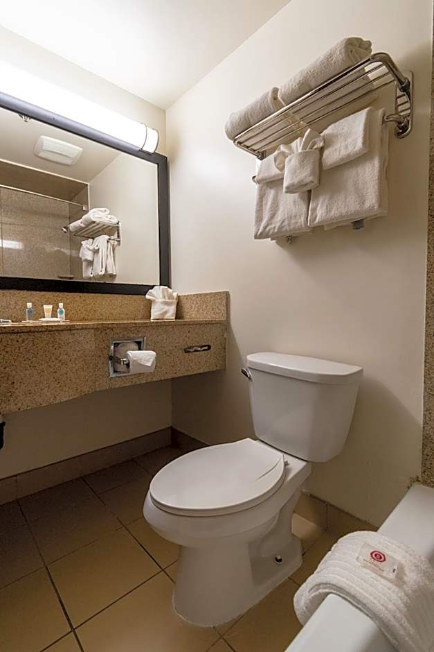 Comfort Inn Near Grand Canyon