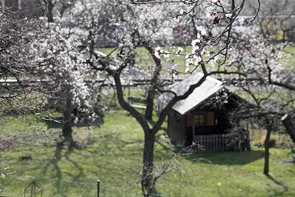 Donauwirt - Hotel garni