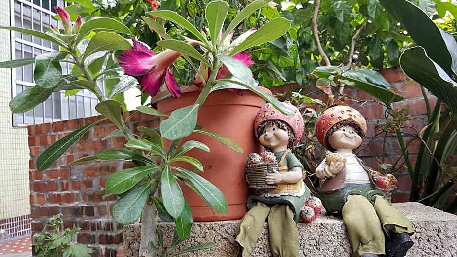 Qinbian B&B