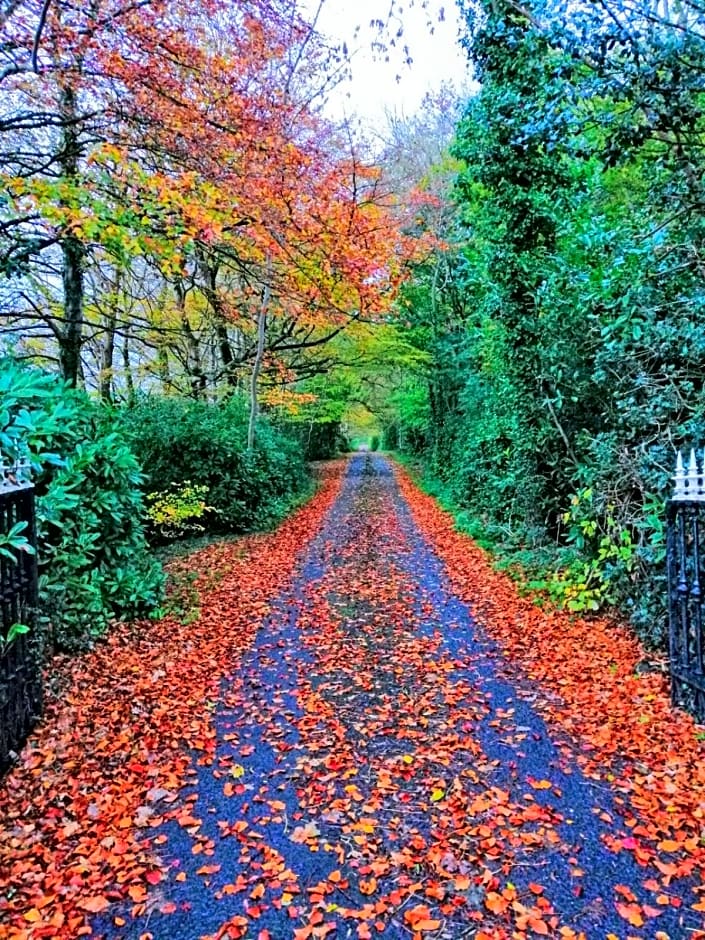 O'Harabrook Country House