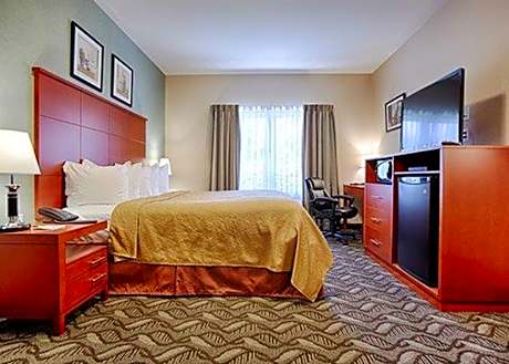 1 King Bed Nonsmoking