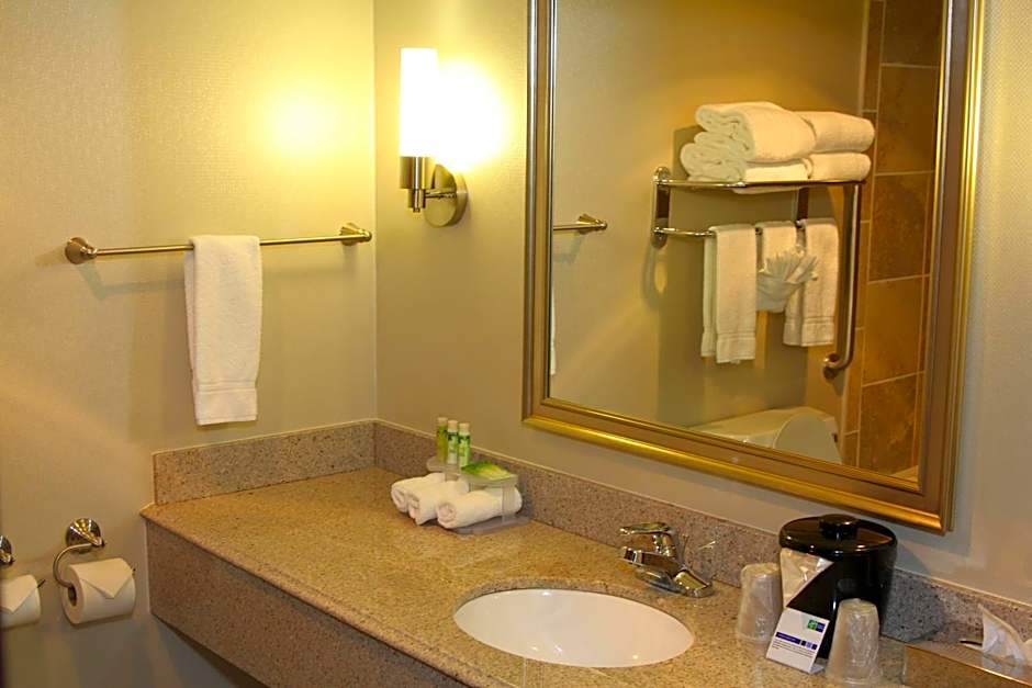 Holiday Inn Express Hotel & Suites Indianapolis W - Airport Area By IHG