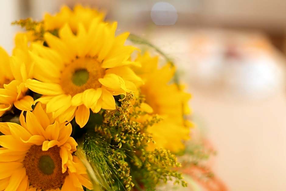 Ristorante Hotel Lucia - 100 mt dal mare