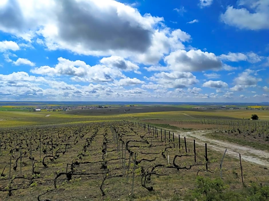 Au Bouchon Champenois