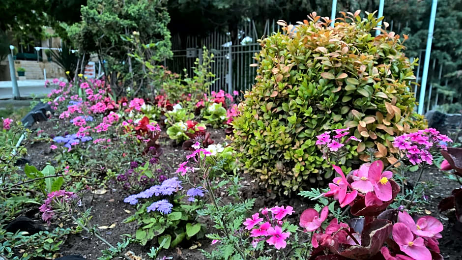 Complex Villa Brigantina