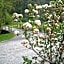 Gasthof & Landhotel Ohrnbachtal