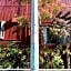 Guest House Grape House Koenji - Female Only 