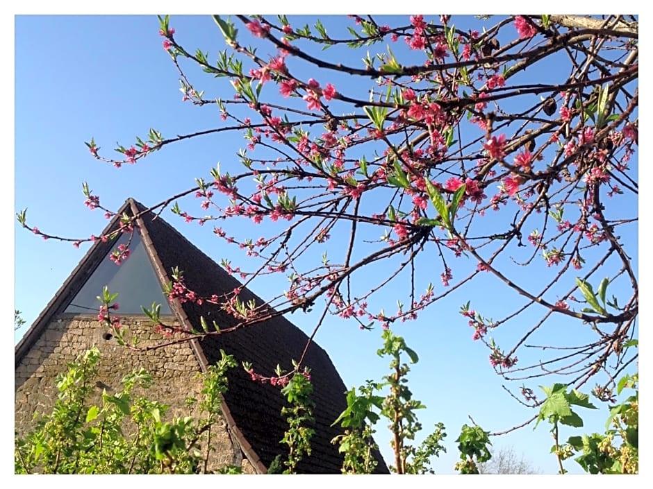 A L'Ombre du Tilleul