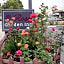 Rose Garden Inn
