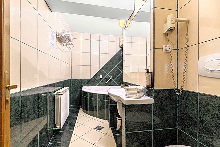 Hotel Casa Viorel jacuzzi & saunas