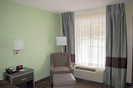 1 King Bed, Non-Smoking, High Speed Internet Access, Sofabed, Refrigerator, Continental Breakfast