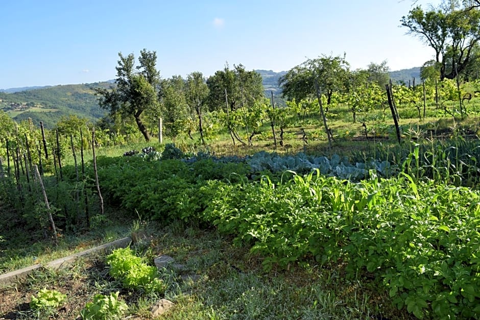 Agriturismo Terra Selvatica