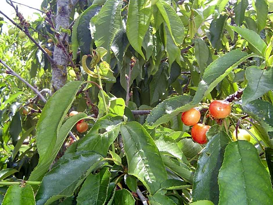 Quinta dos Oliveiras