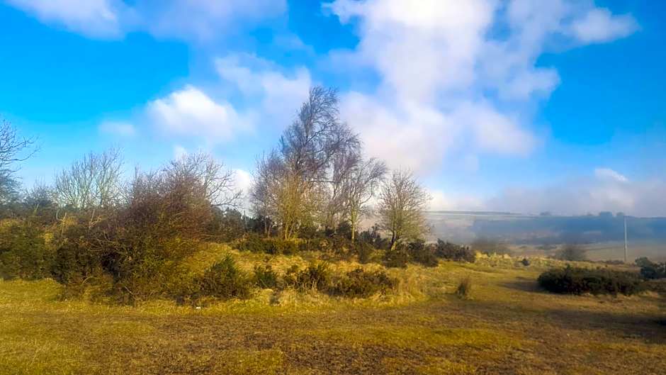 Blue bells Small but quirky & Cozy Shepherd's Hut