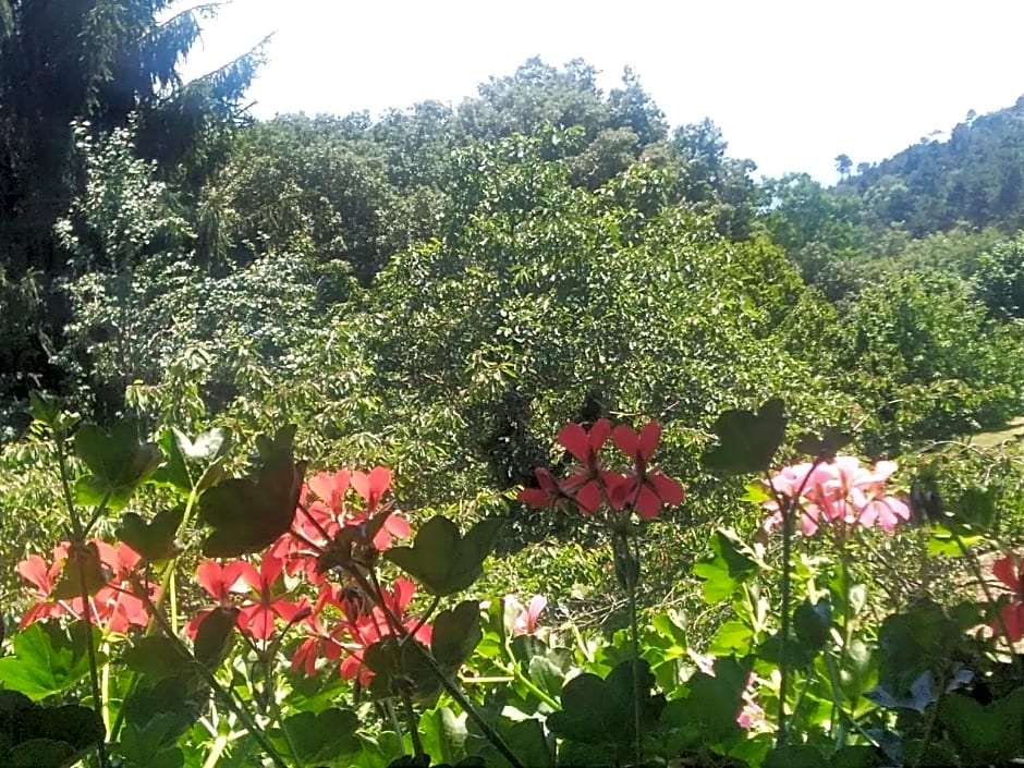 B&B La Capanna Rossa