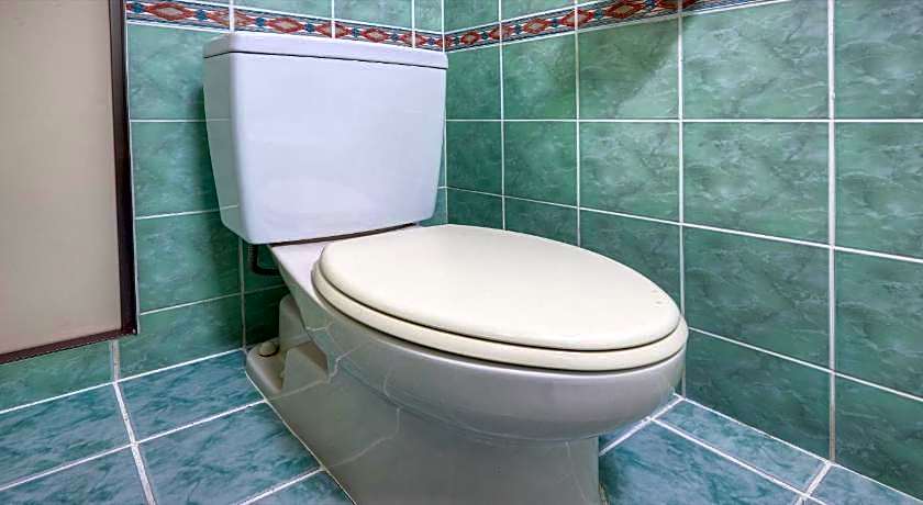 HOTEL Palm Tree Hill