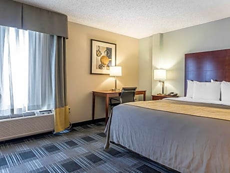 1 King Bed, Suite, Nonsmoking, Upgrade