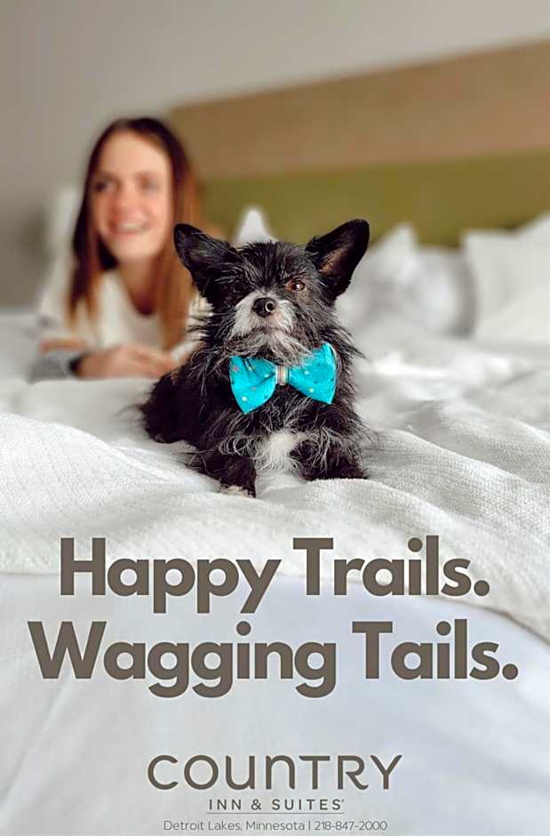 Country Inn & Suites by Radisson, Detroit Lakes, MN