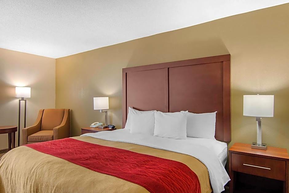 Comfort Inn Chester - Richmond South